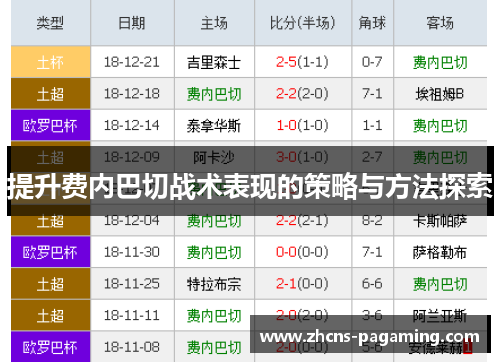 提升费内巴切战术表现的策略与方法探索