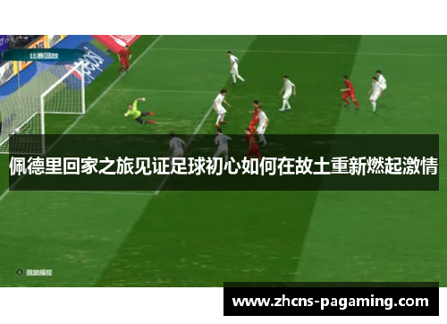 佩德里回家之旅见证足球初心如何在故土重新燃起激情