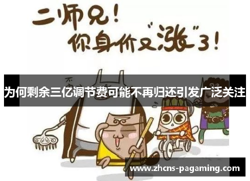 为何剩余三亿调节费可能不再归还引发广泛关注