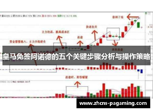 皇马免签阿诺德的五个关键步骤分析与操作策略