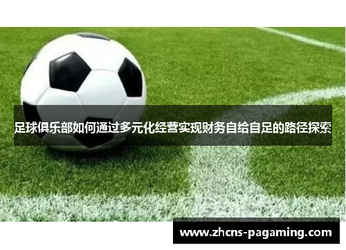 足球俱乐部如何通过多元化经营实现财务自给自足的路径探索