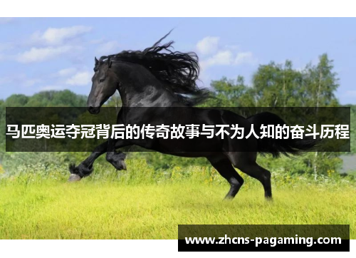 马匹奥运夺冠背后的传奇故事与不为人知的奋斗历程