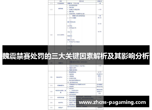 魏震禁赛处罚的三大关键因素解析及其影响分析