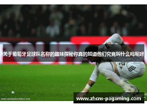 关于葡萄牙足球队名称的趣味探秘你真的知道他们究竟叫什么吗呢呀