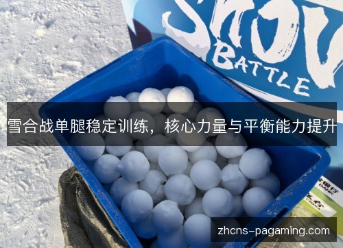 雪合战单腿稳定训练,核心力量与平衡能力提升 雪合战单腿稳定训练,核心力量与平衡能力提升